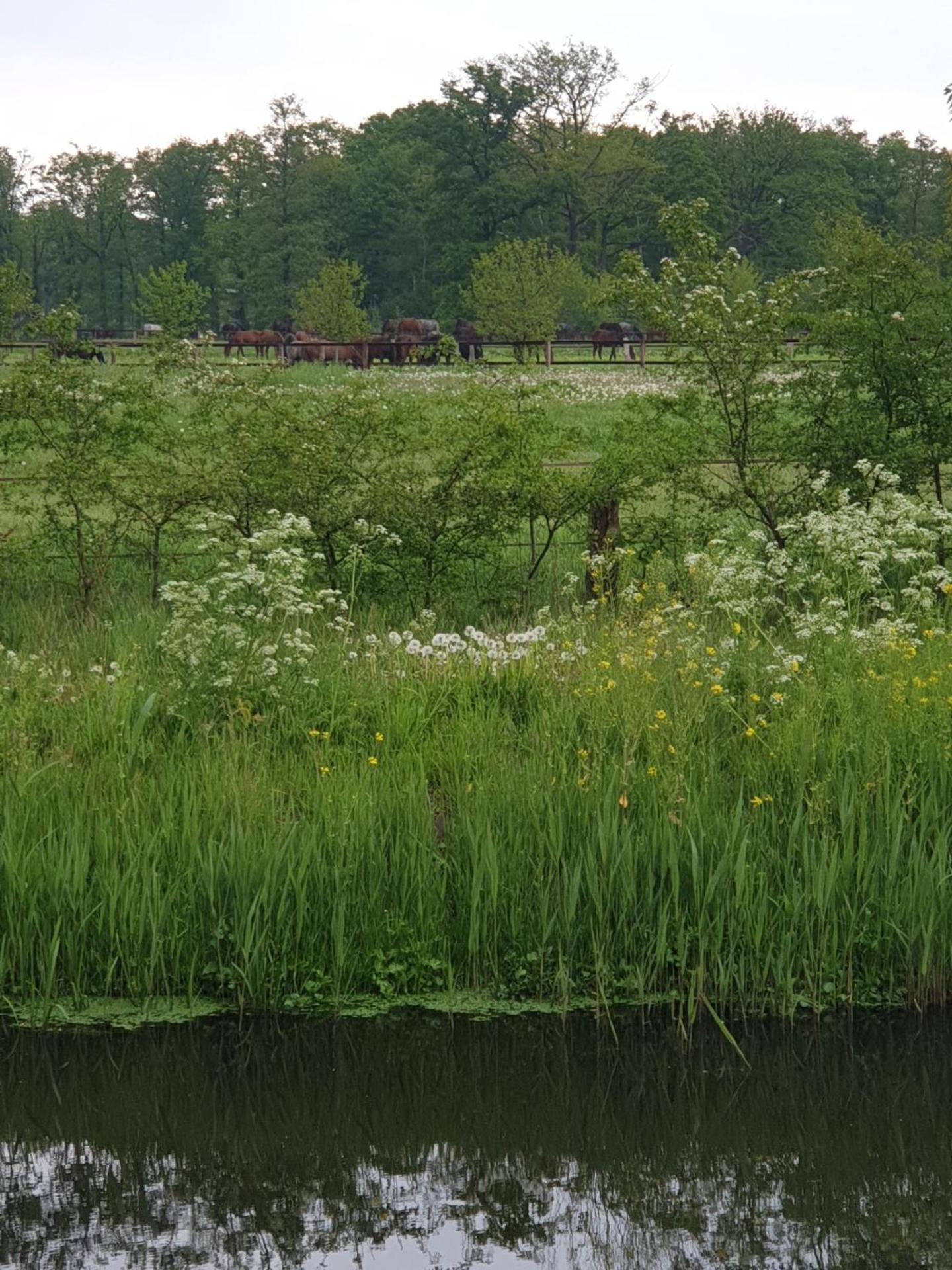 Bed & Breakfast Landgoed De Lavei Weleveld