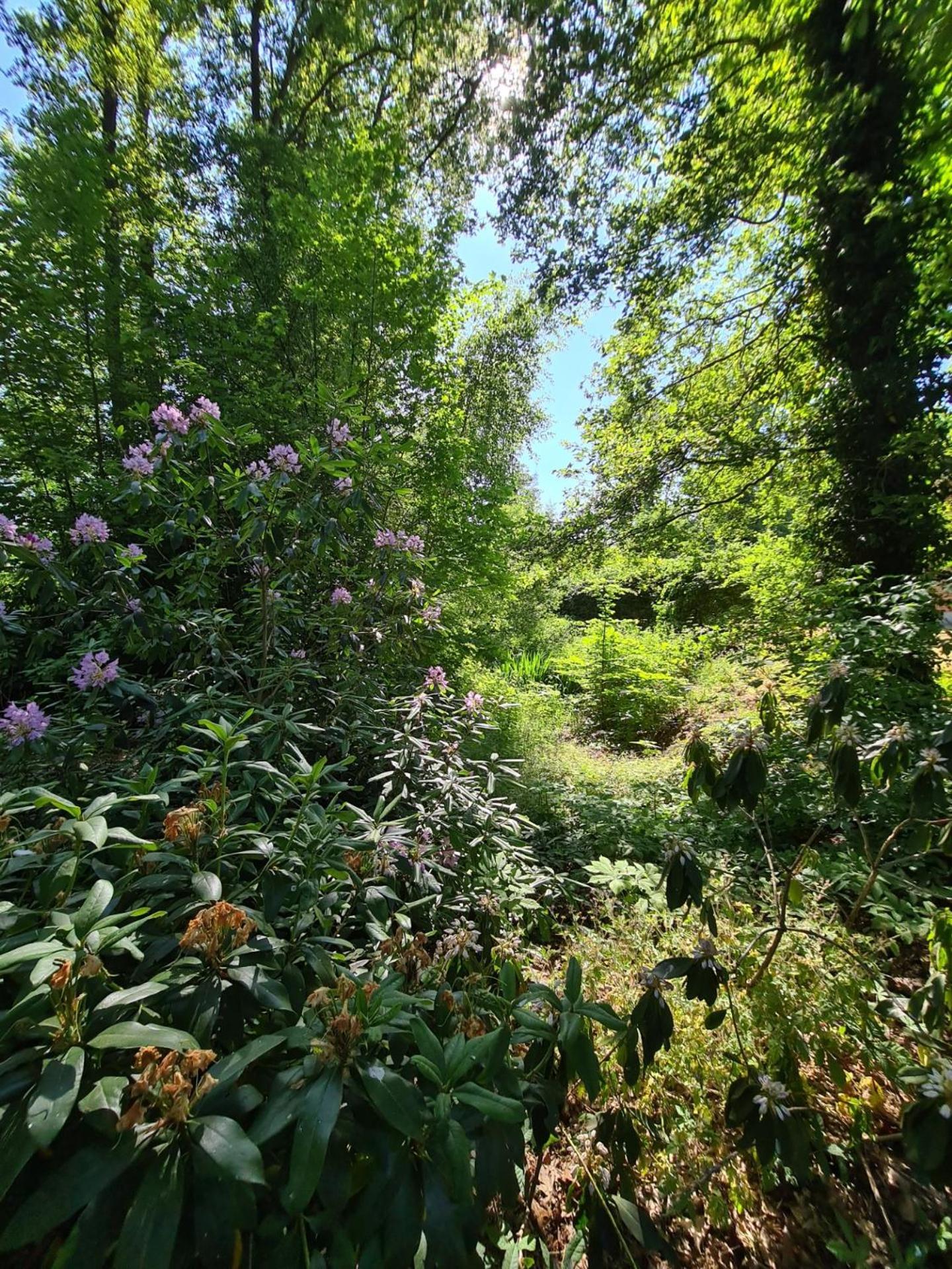 Bed & Breakfast Landgoed De Lavei Weleveld