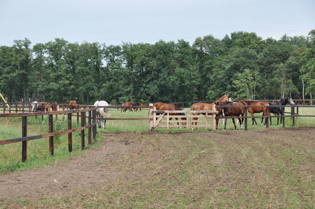 Bed & Breakfast Landgoed De Lavei