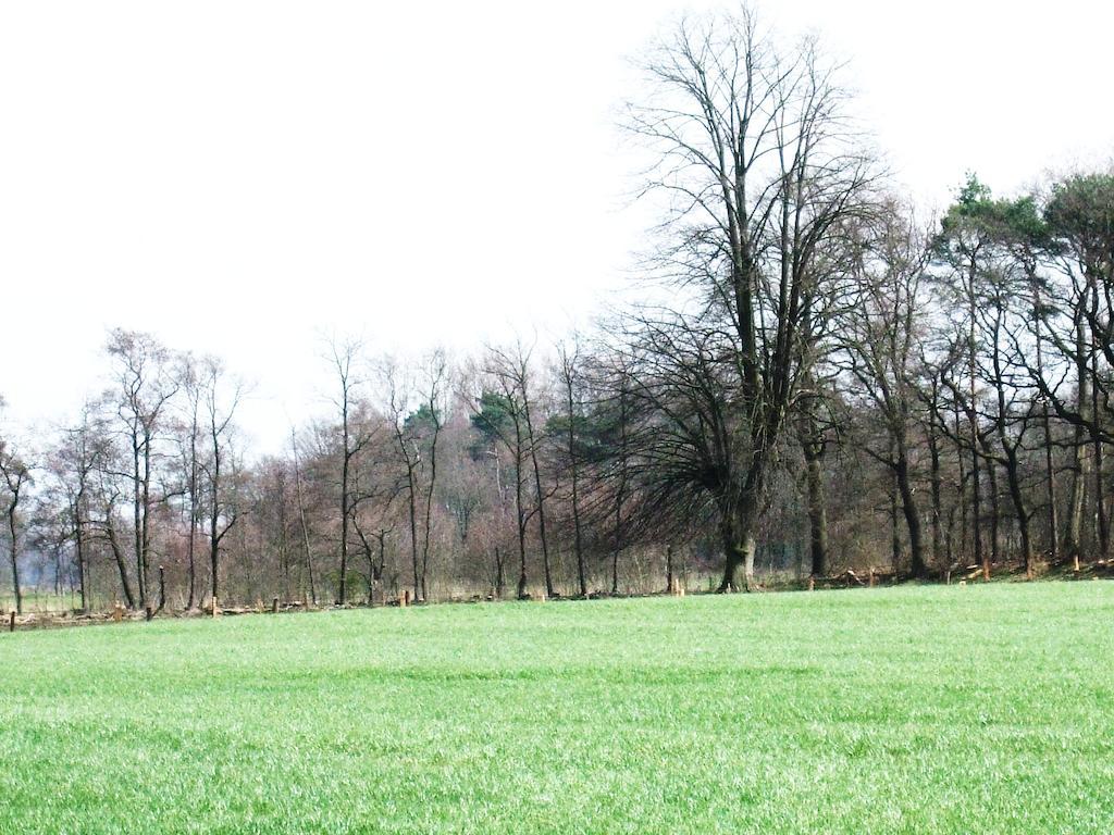 Bed & Breakfast Landgoed De Lavei