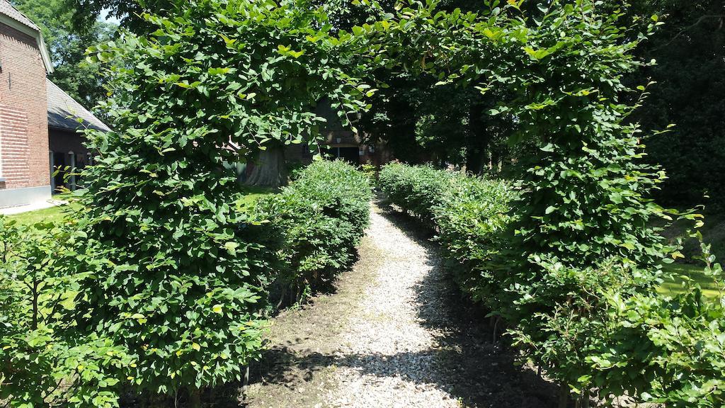 Bed & Breakfast Landgoed De Lavei Weleveld